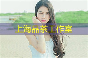 上海新茶工作室：并为自己开启一段全新的养生旅程