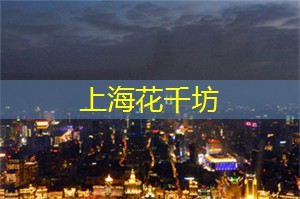 夜上海最震撼的演艺秀，带你进入奇幻的夜晚！
